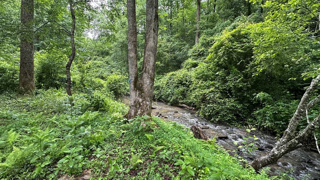 Lot 103 Rhondas Way, Ellijay GA 30540 - Photo