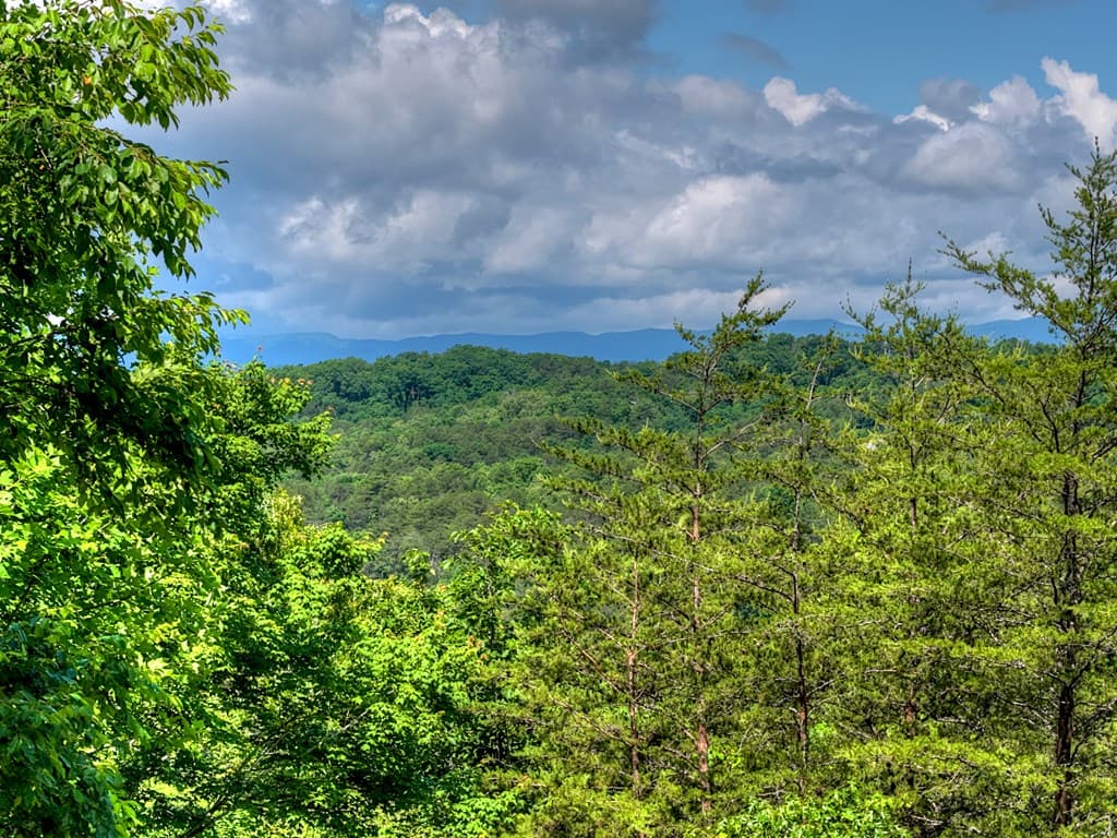 309 Katydid Road, Morganton GA 30560 - Photo