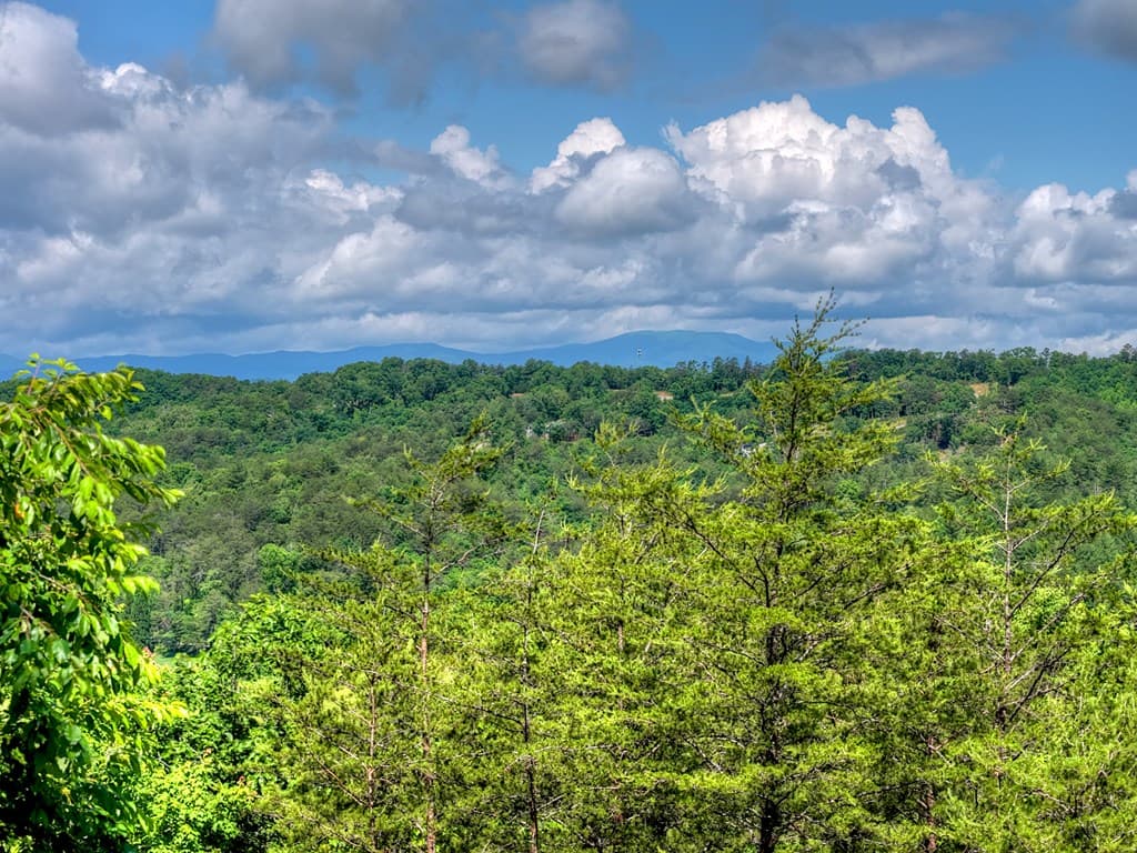 309 Katydid Road, Morganton GA 30560 - Photo
