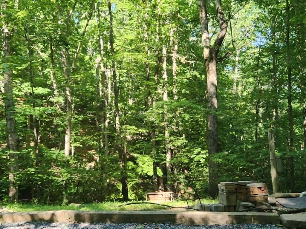 158 5th Street, Ellijay GA 30540 - Photo