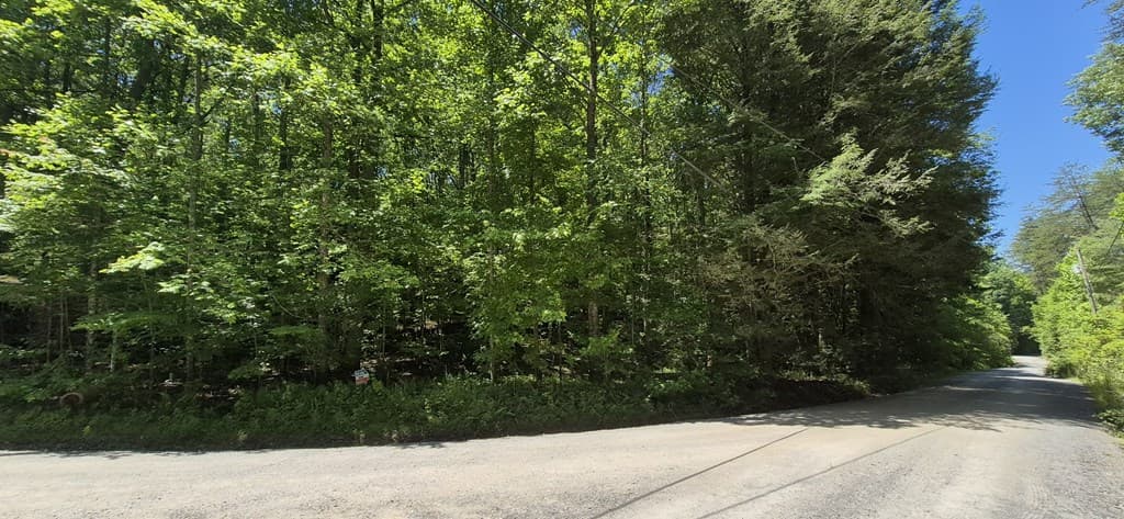 Lot 28 Laurel Ridge, Ellijay GA 30522 - Photo