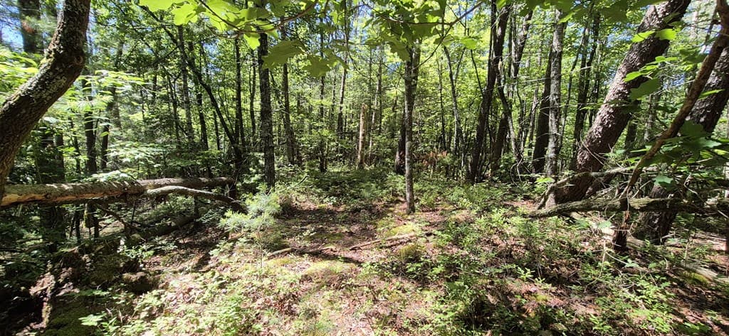 Lot 28 Laurel Ridge, Ellijay GA 30522 - Photo