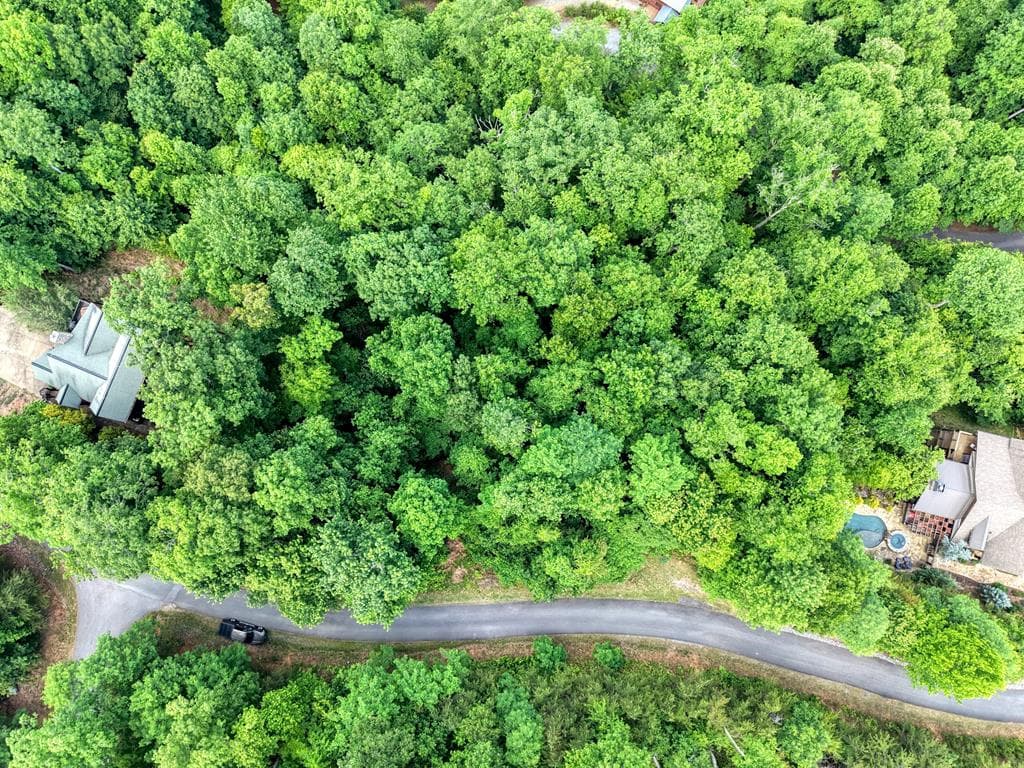 Lot2 Deer Crest Overlook, Blue Ridge GA 30513 - Photo