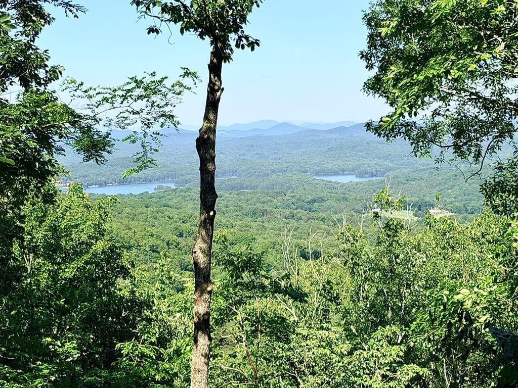 Lot2 Deer Crest Overlook, Blue Ridge GA 30513 - Photo
