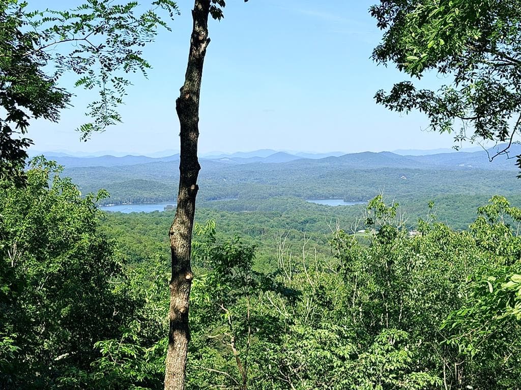 Lot2 Deer Crest Overlook, Blue Ridge GA 30513 - Primary photo