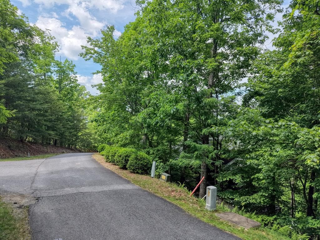 Lot2 Deer Crest Overlook, Blue Ridge GA 30513 - Photo