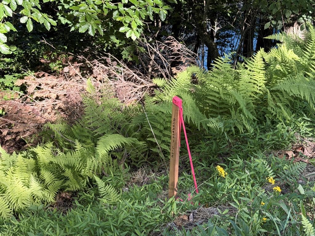 Lot2 Deer Crest Overlook, Blue Ridge GA 30513 - Photo