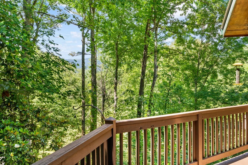 163 Winchester Cove Lane, Hayesville NC 28904 - Photo