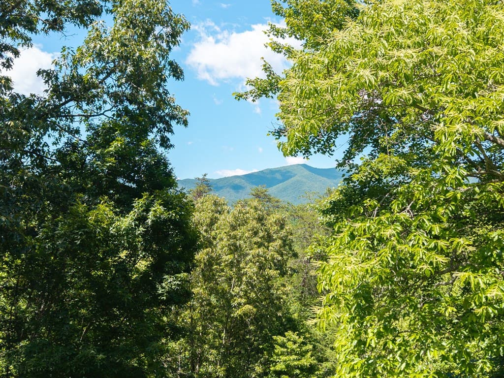163 Winchester Cove Lane, Hayesville NC 28904 - Photo