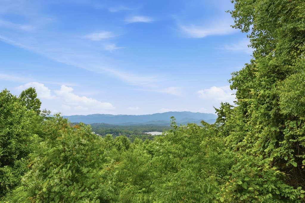 3160 Hiawassee Trace, Hiawassee GA 30546 - Photo