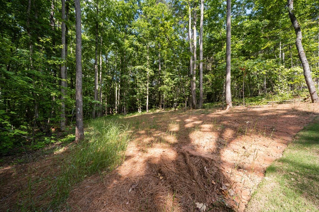 101 Attwater Circle, Dawsonville GA 30534 - Photo