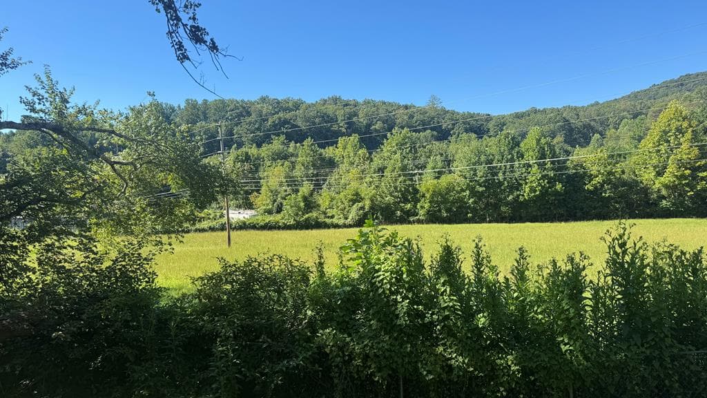 903 Village Road, Hiawassee GA 30546 - Photo