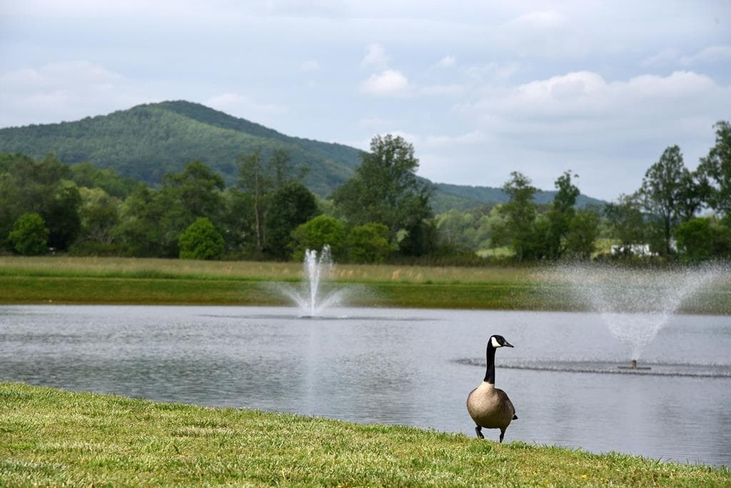 122 Mountain Creek Road, Blairsville GA 30512 - Photo