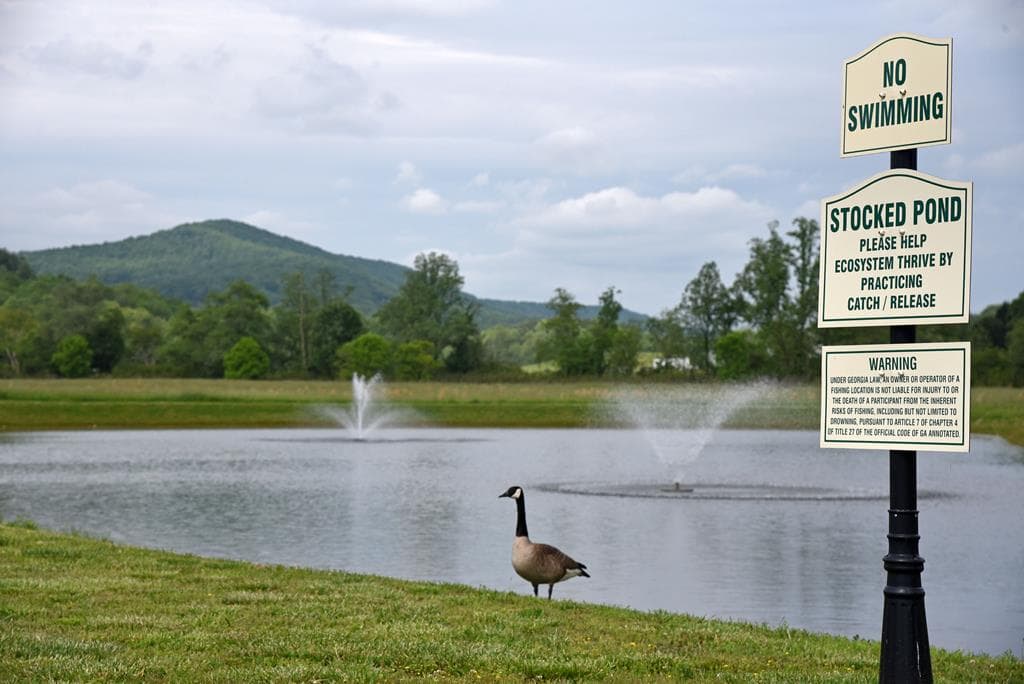 122 Mountain Creek Road, Blairsville GA 30512 - Photo