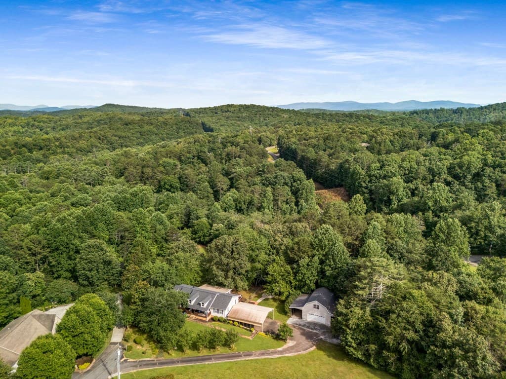 214 Piney Woods Drive, Ellijay GA 30536 - Photo