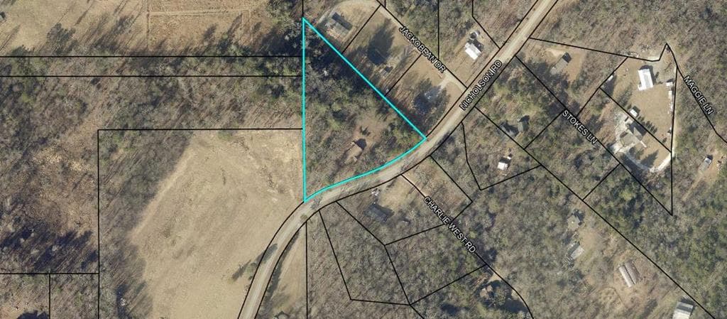 517 Nicholson Road, Blairsville GA 30512 - Photo