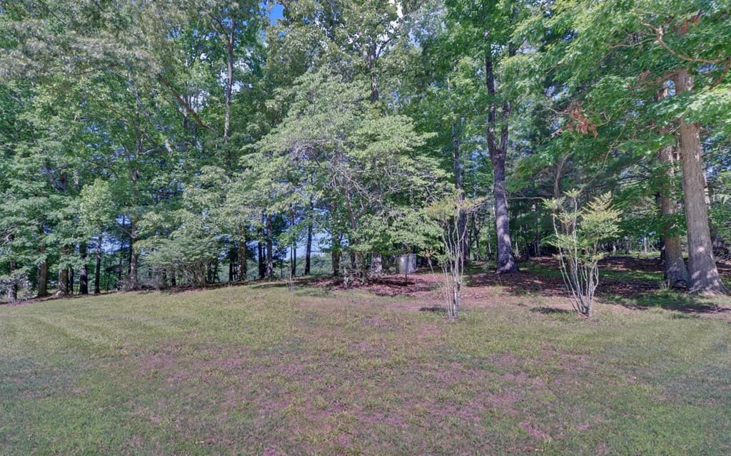 517 Nicholson Road, Blairsville GA 30512 - Photo