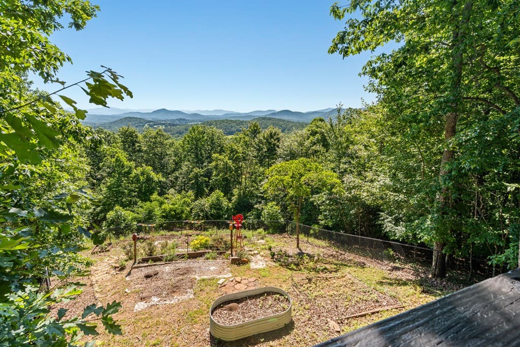 913 Royal Oaks Trail, Brasstown NC 28902 - Photo