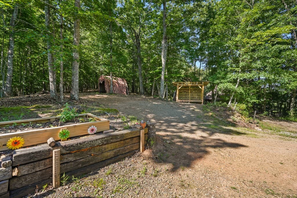 913 Royal Oaks Trail, Brasstown NC 28902 - Photo