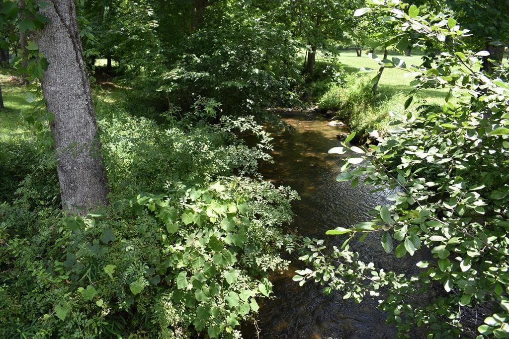 2632 Big Creek, Cherry Log GA 30522 - Photo