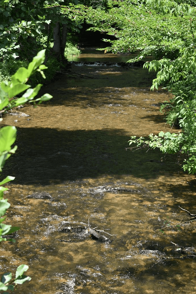 2632 Big Creek, Cherry Log GA 30522 - Photo