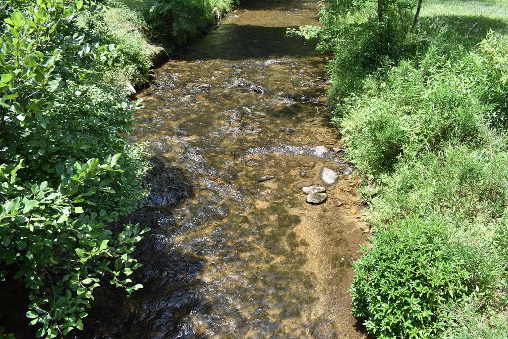 2632 Big Creek, Cherry Log GA 30522 - Photo