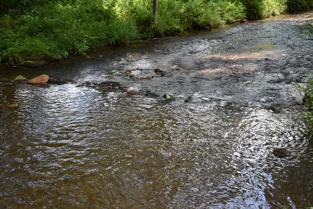2632 Big Creek, Cherry Log GA 30522 - Photo