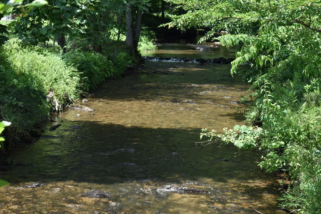 2632 Big Creek, Cherry Log GA 30522 - Photo