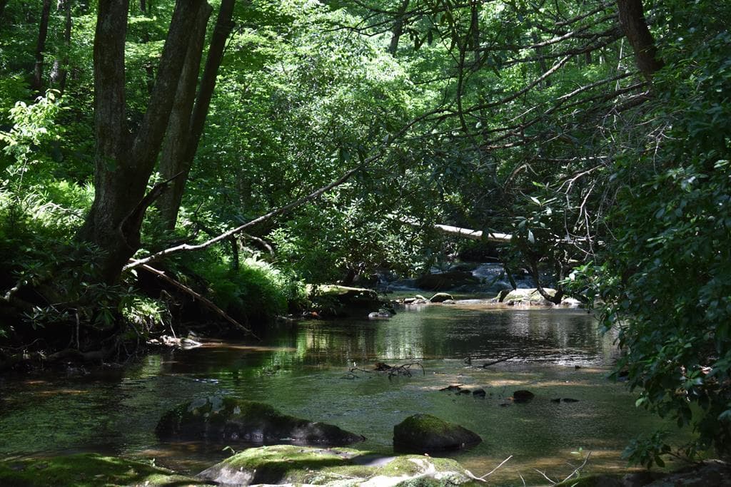 2632 Big Creek, Cherry Log GA 30522 - Photo