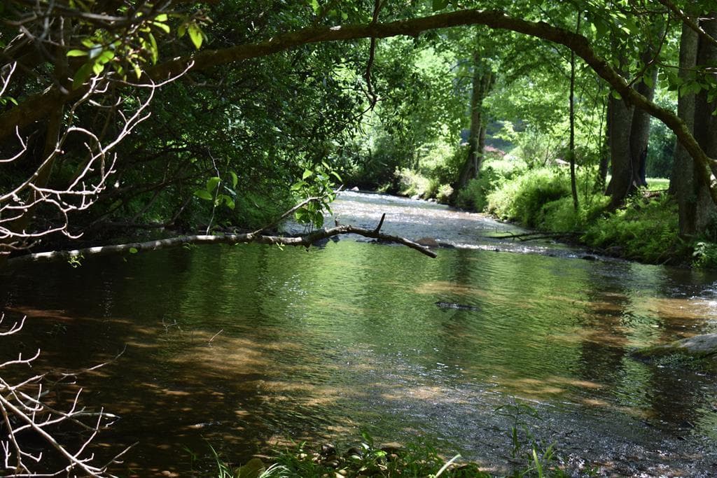 2632 Big Creek, Cherry Log GA 30522 - Photo
