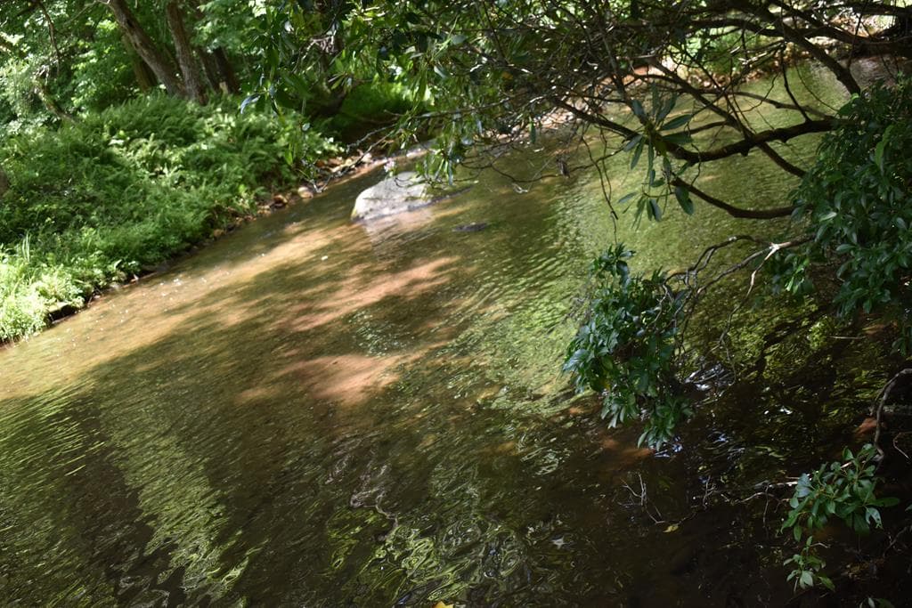2632 Big Creek, Cherry Log GA 30522 - Photo