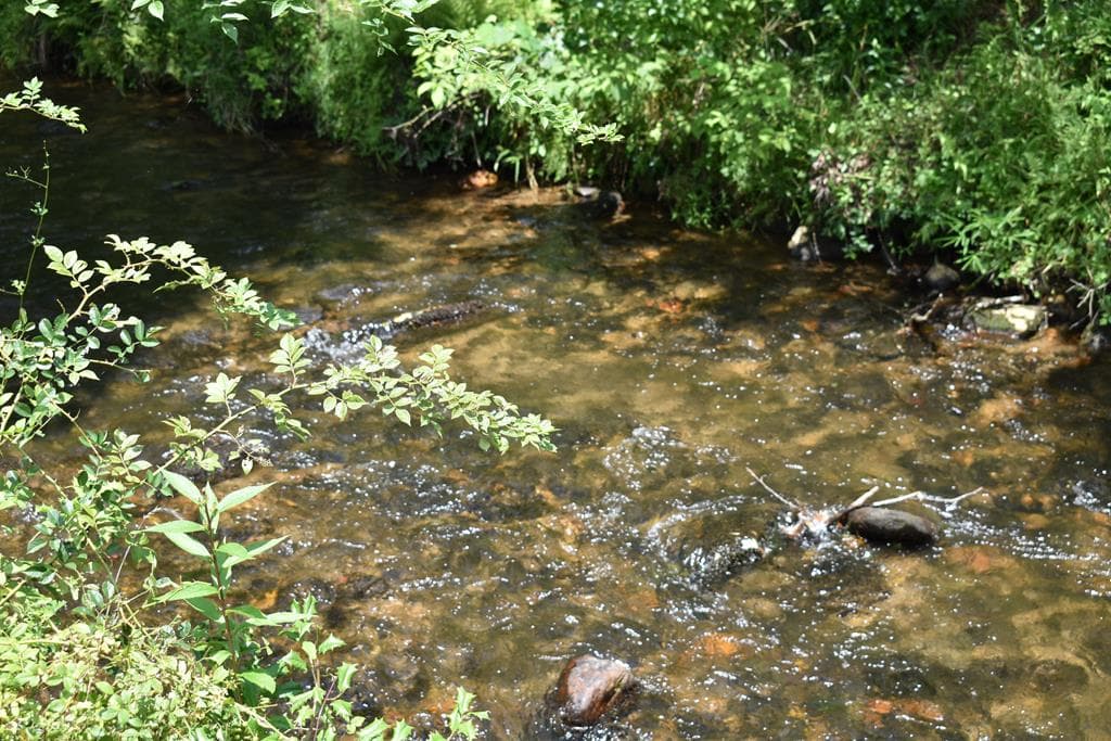 2632 Big Creek, Cherry Log GA 30522 - Photo