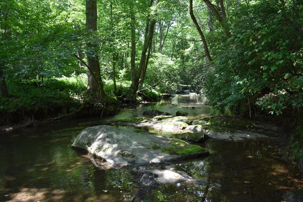 2632 Big Creek, Cherry Log GA 30522 - Primary photo