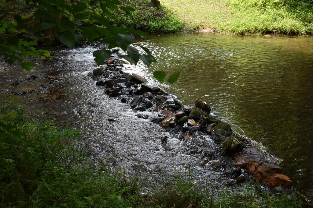 2632 Big Creek, Cherry Log GA 30522 - Photo