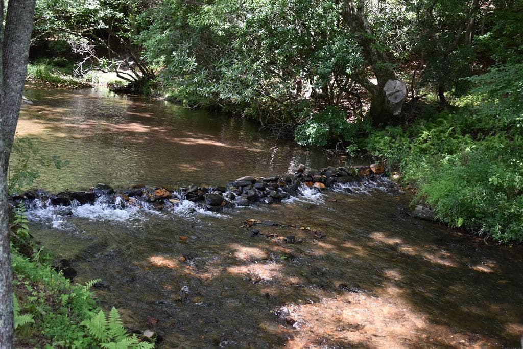 2632 Big Creek, Cherry Log GA 30522 - Photo