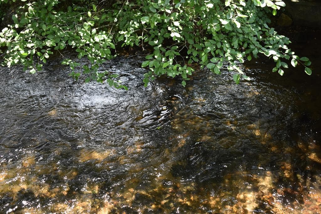 2632 Big Creek, Cherry Log GA 30522 - Photo
