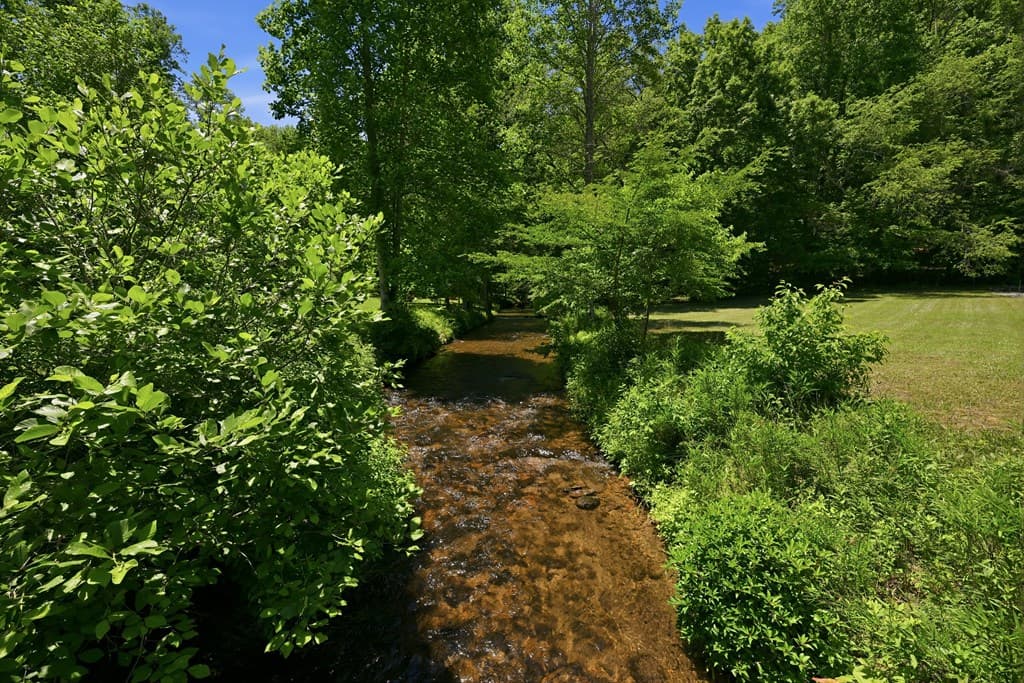 2632 Big Creek, Cherry Log GA 30522 - Photo