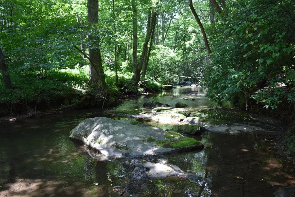 2632 Big Creek, Cherry Log GA 30522 - Photo