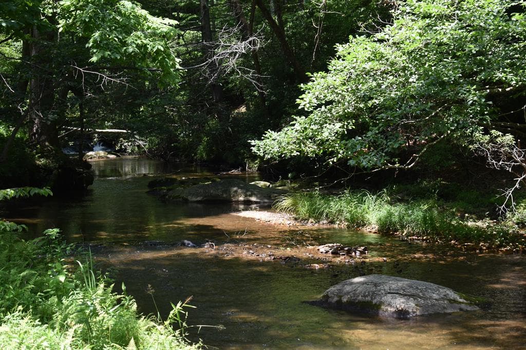 2632 Big Creek, Cherry Log GA 30522 - Photo