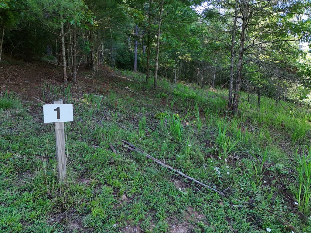 Lot 1 Big Knoll Drive, Blairsville GA 30512 - Photo