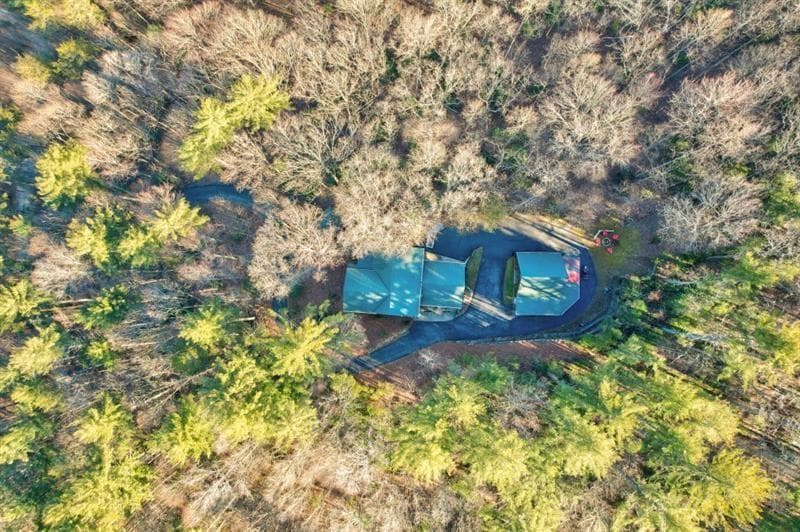 138 Lucius Lane, Cherry Log GA 30522 - Photo