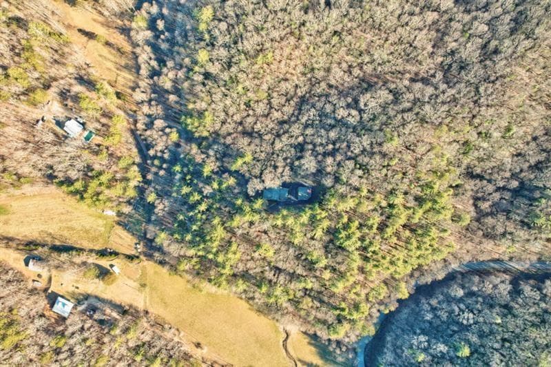 138 Lucius Lane, Cherry Log GA 30522 - Photo