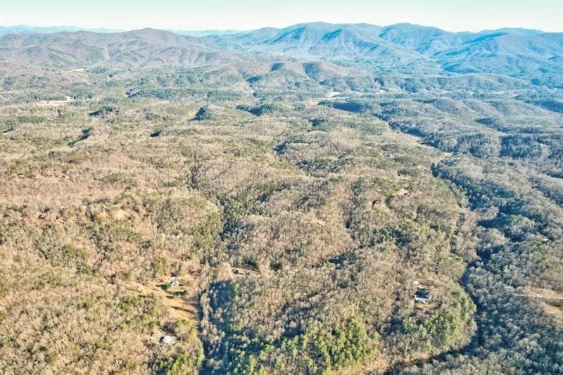 138 Lucius Lane, Cherry Log GA 30522 - Photo