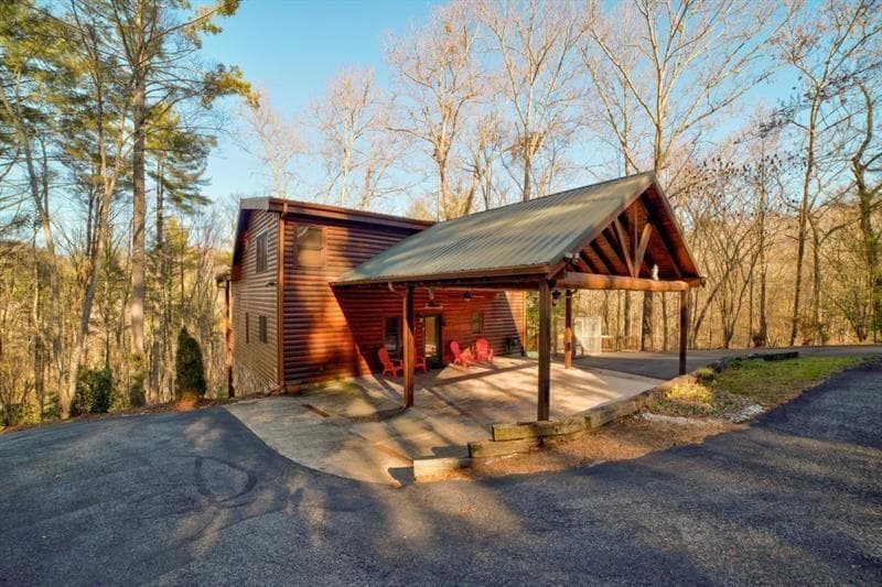 138 Lucius Lane, Cherry Log GA 30522 - Photo