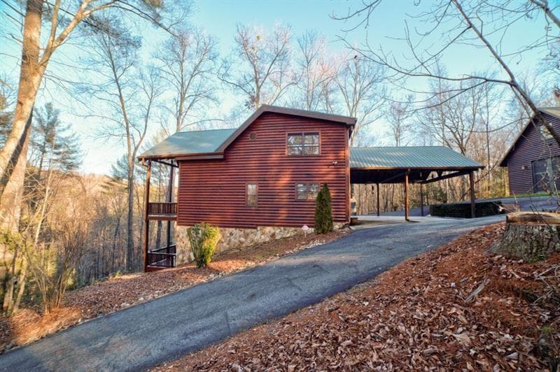 138 Lucius Lane, Cherry Log GA 30522 - Primary photo