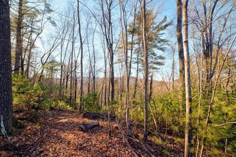 138 Lucius Lane, Cherry Log GA 30522 - Photo