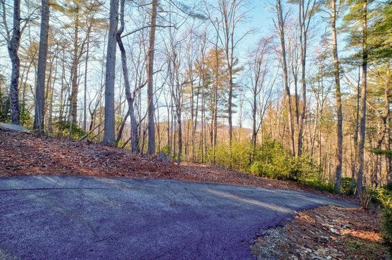 138 Lucius Lane, Cherry Log GA 30522 - Photo