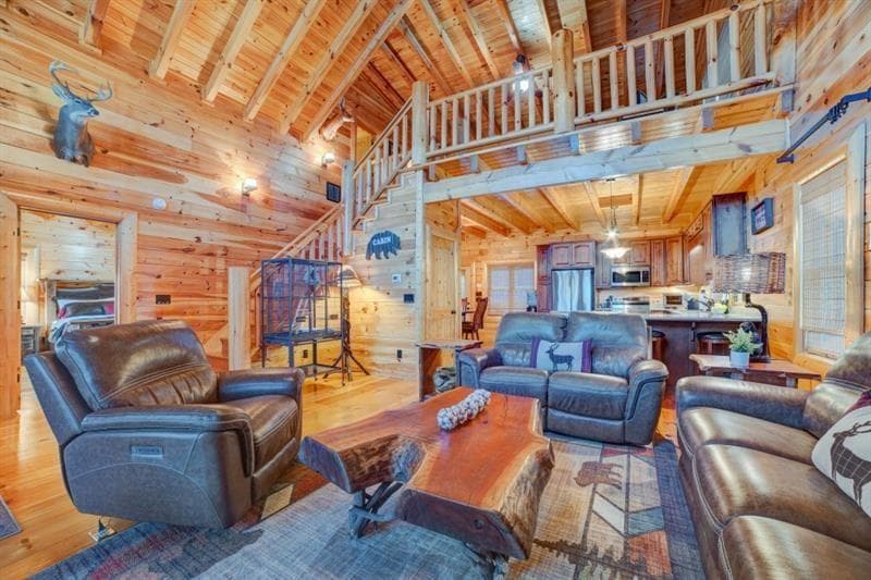 138 Lucius Lane, Cherry Log GA 30522 - Photo