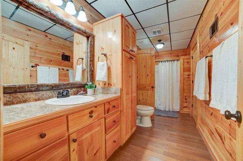 138 Lucius Lane, Cherry Log GA 30522 - Photo