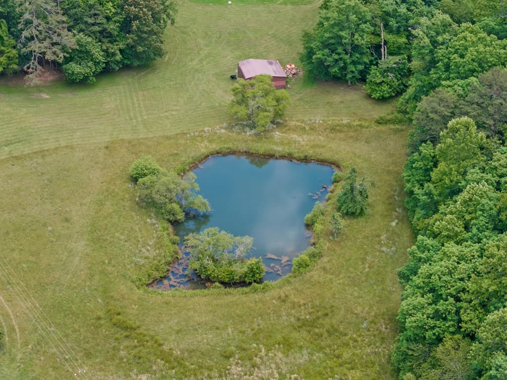 177 Shangri La Drive, Mineral Bluff GA 30559 - Photo